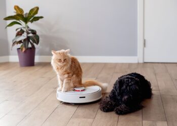 Σκούπα ρομπότ