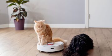 Σκούπα ρομπότ