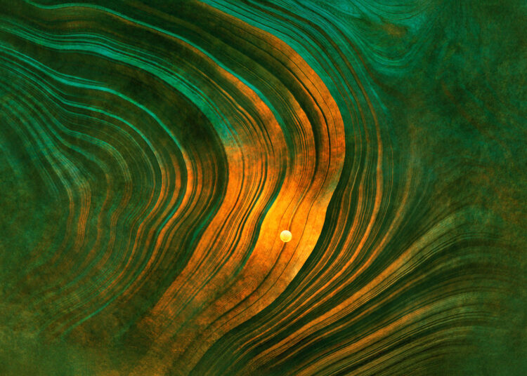 Ζώδια 11/11/2025 — Ημερήσιες προβλέψεις