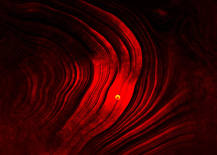 Ζώδια 12/11/2025 — Ημερήσιες προβλέψεις