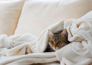 Γιατί χρειαζόμαστε περισσότερο ύπνο τον χειμώνα;