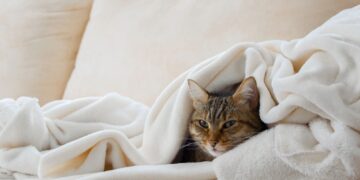 Γιατί χρειαζόμαστε περισσότερο ύπνο τον χειμώνα;