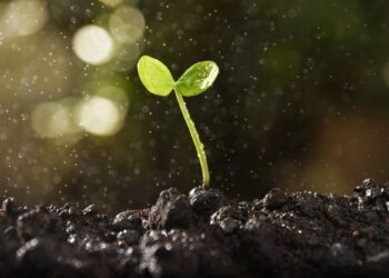 Μικρός οδηγός αισιοδοξίας