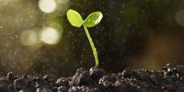 Μικρός οδηγός αισιοδοξίας