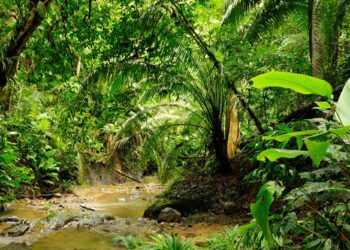 Νταριέν: Το πιο επικίνδυνο πέρασμα του κόσμου