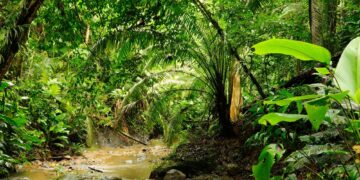 Νταριέν: Το πιο επικίνδυνο πέρασμα του κόσμου