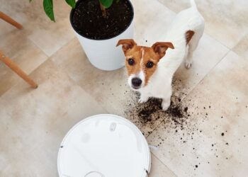 Σκούπα-ρομποτ: Σε ποιες περιπτώσεις δεν ενδείκνυται;