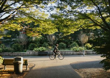 Τρόποι με τους οποίους τα δέντρα προστατεύουν την υγεία μας