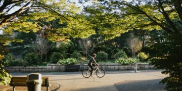 Τρόποι με τους οποίους τα δέντρα προστατεύουν την υγεία μας