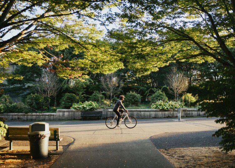 Τρόποι με τους οποίους τα δέντρα προστατεύουν την υγεία μας