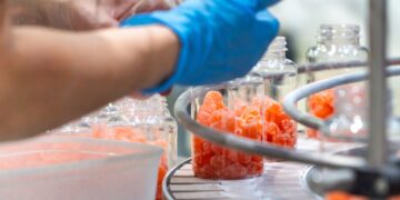 Υπερ-επεξεργασμένα τρόφιμα: Ένας σιωπηλός κίνδυνος για την υγεία