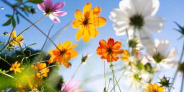 Γιατί όλοι αγαπούν την άνοιξη;