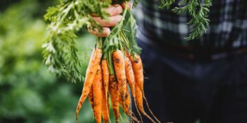 Πόσο καλά πρέπει να πλένουμε τα λαχανικά μας;