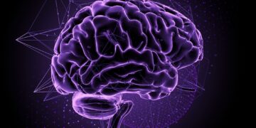 Μπορεί ο εγκέφαλος να «ξεγελαστεί» για να νιώθει πιο ευτυχισμένος;