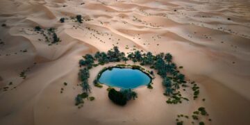 5 παράξενα facts για την έρημο