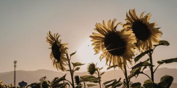 Γιατί όλοι ανυπομονούν για το καλοκαίρι;