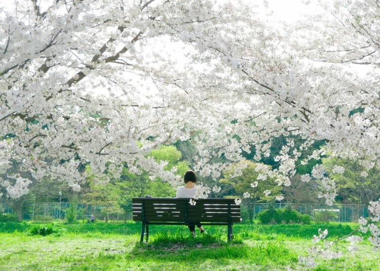Πώς επηρεάζει η άνοιξη την ψυχολογία μας;