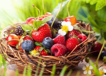 Τα φρούτα της άνοιξης