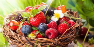 Τα φρούτα της άνοιξης