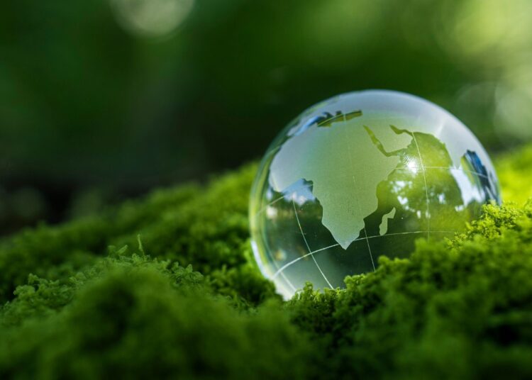Διεθνής Ημέρα Γης: Μικρές συνήθειες με μεγάλο αποτύπωμα