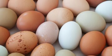 Γιατί δεν πρέπει να βάζουμε αυγά στον φούρνο μικροκυμάτων;