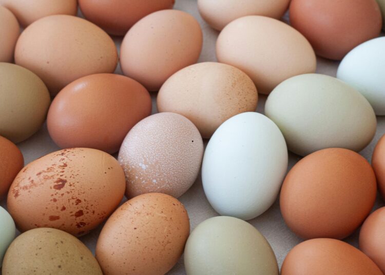 Γιατί δεν πρέπει να βάζουμε αυγά στον φούρνο μικροκυμάτων;