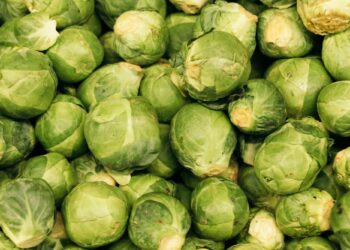 Λαχανάκια Βρυξελλών: Το πιο παρεξηγημένο λαχανικό που αξίζει να δοκιμάσετε