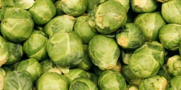 Λαχανάκια Βρυξελλών: Το πιο παρεξηγημένο λαχανικό που αξίζει να δοκιμάσετε