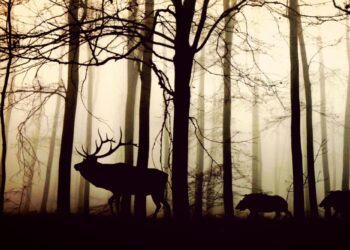 Παράξενοι τρόποι με τους οποίους αλλάζουν τα οικοσυστήματα