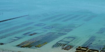 Πράγματα που δεν γνωρίζατε για τις υδατοκαλλιέργειες