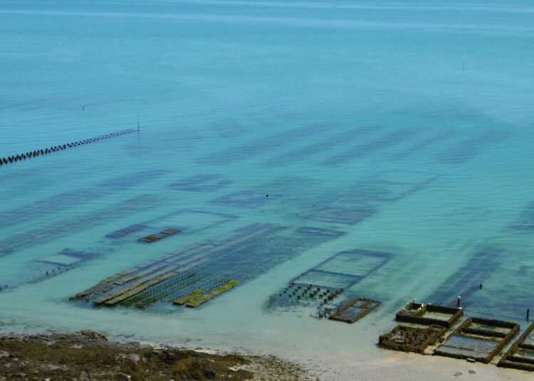 Πράγματα που δεν γνωρίζατε για τις υδατοκαλλιέργειες