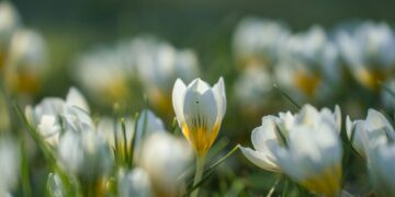 Υπάρχουν ακόμα εποχές;