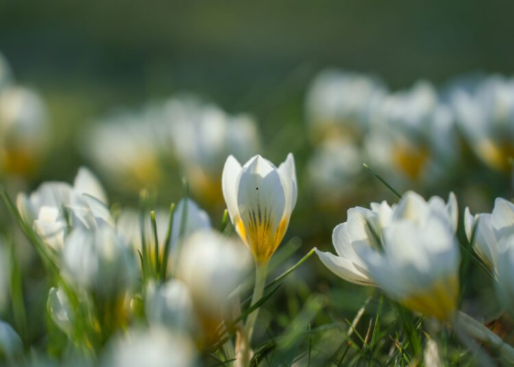 Υπάρχουν ακόμα εποχές;