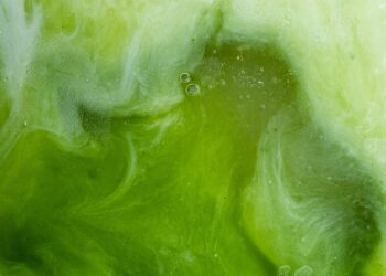 Πώς θα ξεχωρίσουμε την καλή matcha;