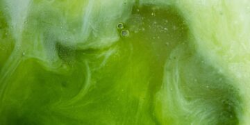 Πώς θα ξεχωρίσουμε την καλή matcha;