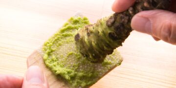 Wasabi