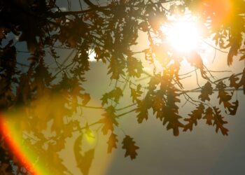 Ποιες ώρες είναι πιο επικίνδυνη η ηλιακή ακτινοβολία;