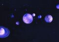Ζώδια 05/08/2026 — Ημερήσιες προβλέψεις