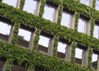 Γιατί οι πόλεις μας χρειάζονται περισσότερο πράσινο;