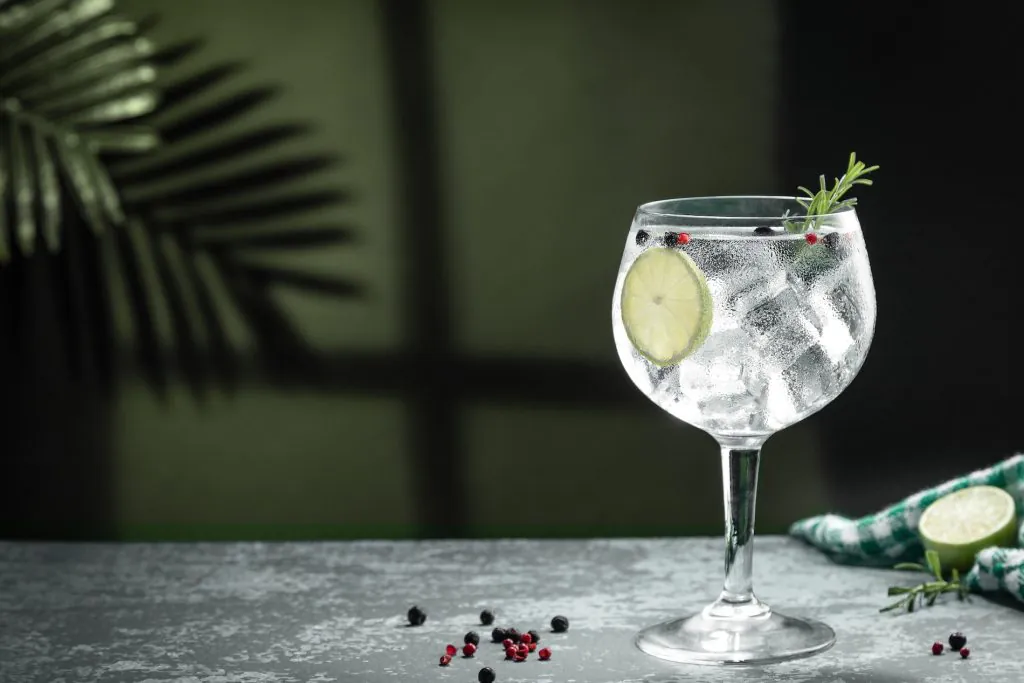 Gin Tonic