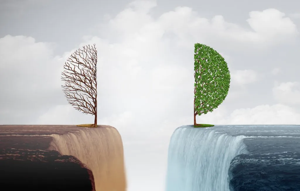 Environmental Inequality