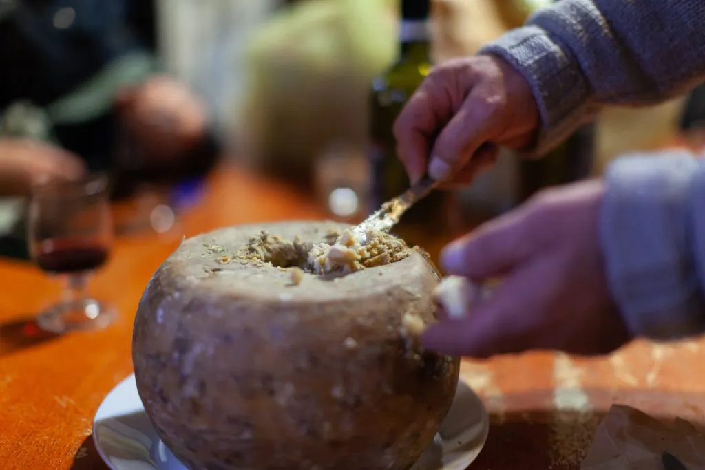 Casu marzu τυρί με σκουλήκια