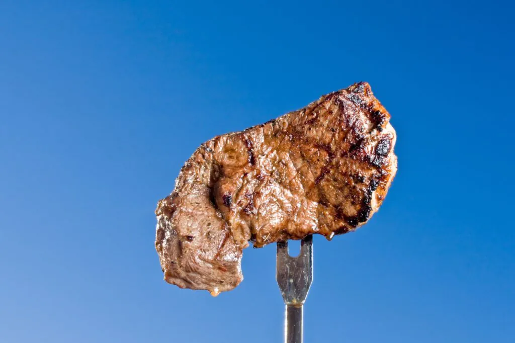 Οι κίνδυνοι της Carnivore Diet: Τι πρέπει να προσέξετε